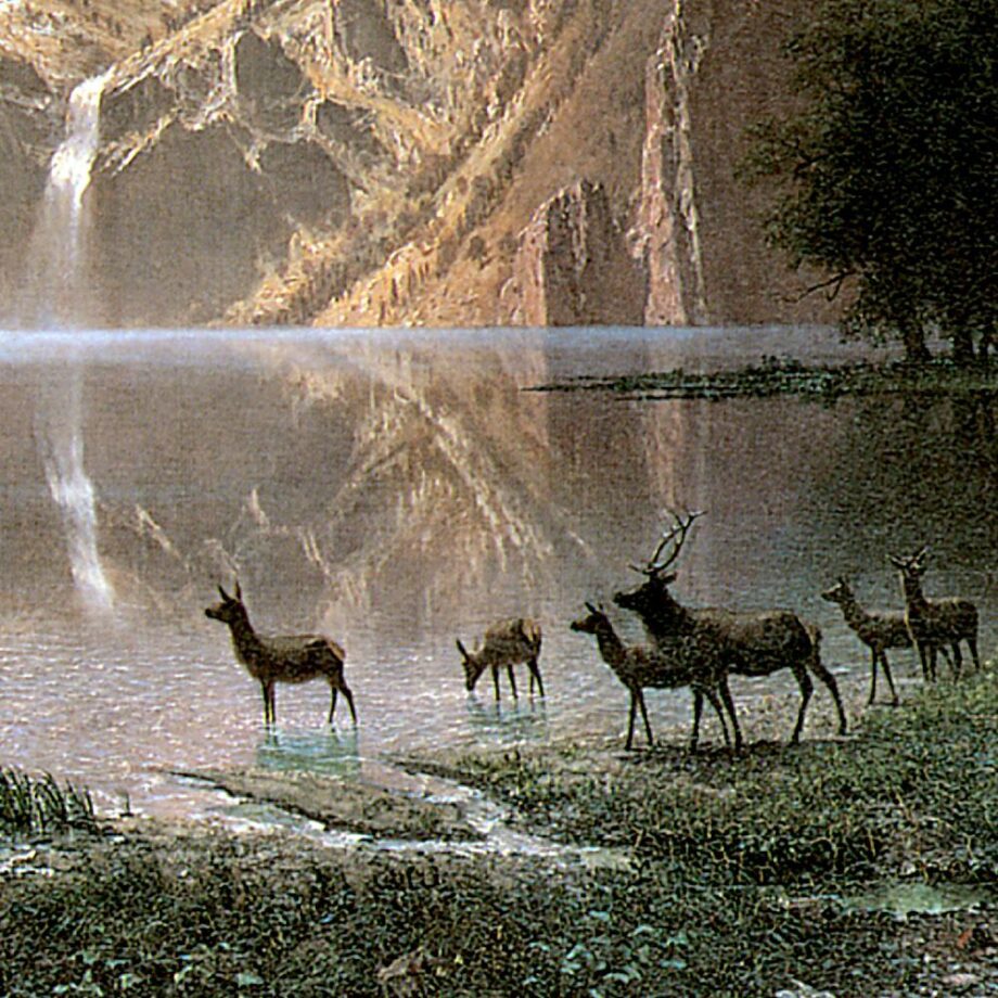 Among the Sierra Nevada Framed Canvas Replica Painting: Small