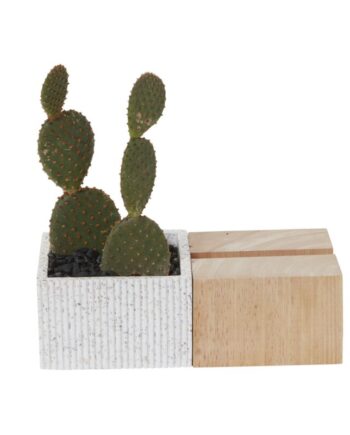 Aravalli Phone Stand Planter - 8"x 4"x 2.5" 60210.00