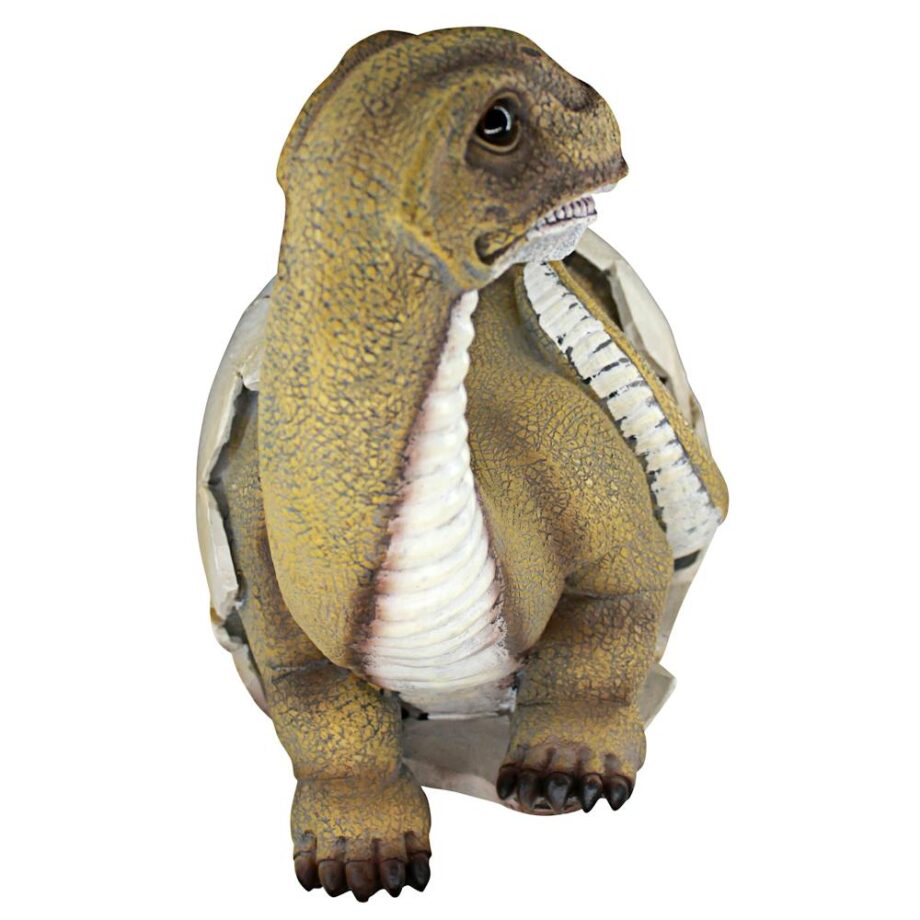 Baby Brachiosaurus Dinosaur Egg Hatchling Statue