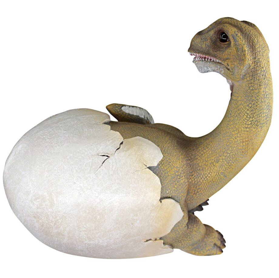 Baby Brachiosaurus Dinosaur Egg Hatchling Statue