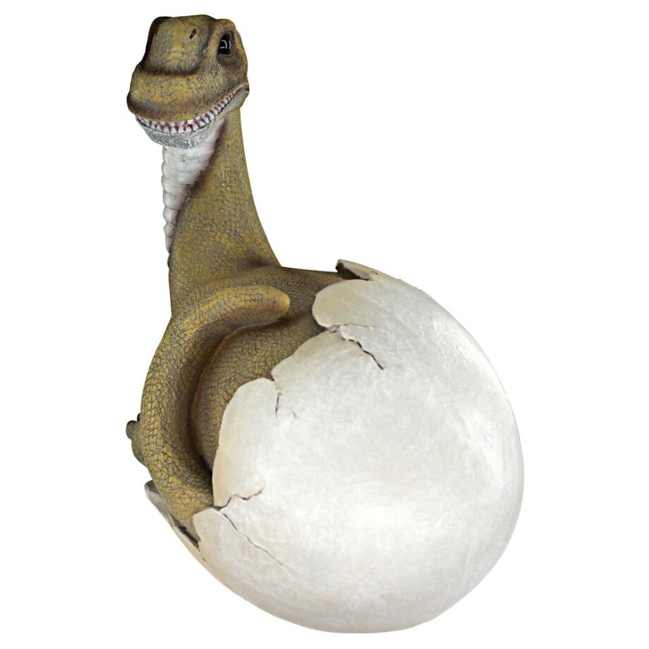 Baby Brachiosaurus Dinosaur Egg Hatchling Statue