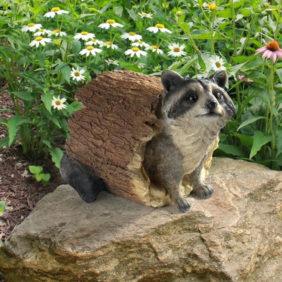 Bandit the Raccoon Garden Statue QM24625001