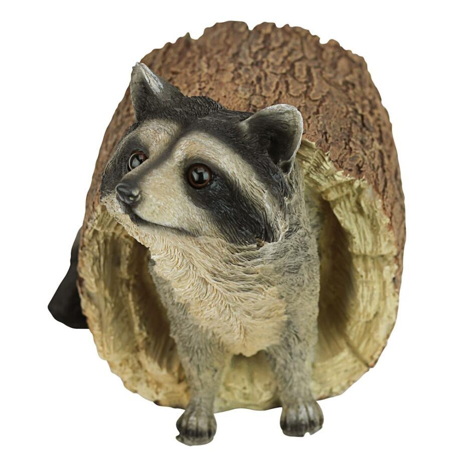 Bandit the Raccoon Garden Statue