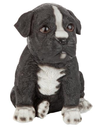 Border Collie Puppy Partner Collectible Dog Statue JQ111032