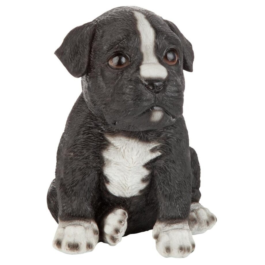 Border Collie Puppy Partner Collectible Dog Statue JQ111032