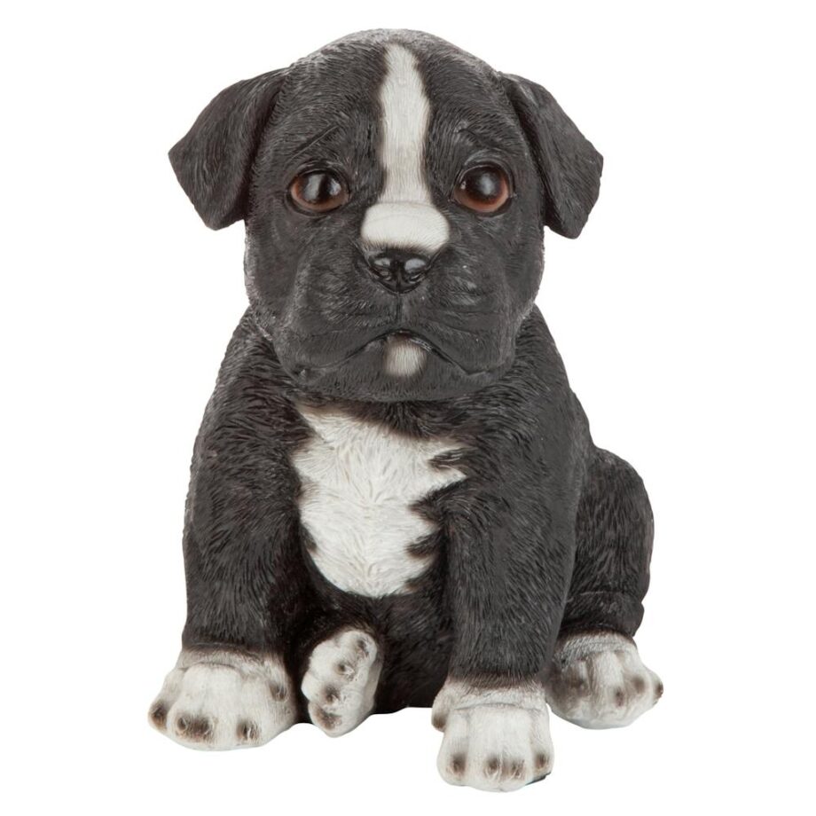 Border Collie Puppy Partner Collectible Dog Statue