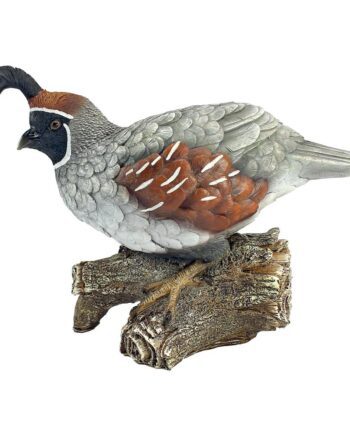 Coco the Quail Bird Statue QM2385600