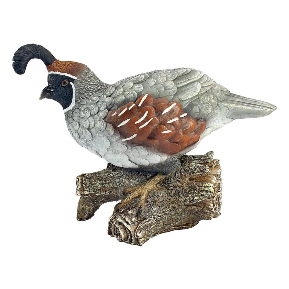 Coco the Quail Bird Statue QM2385600