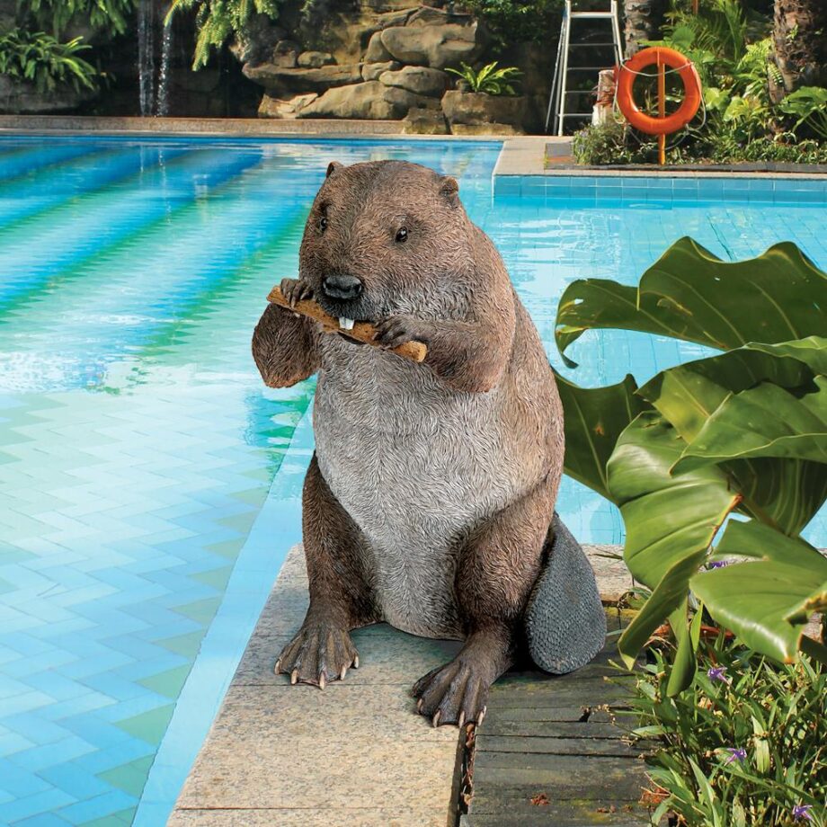 Dam Building Beaver Garden Statue QM2677800