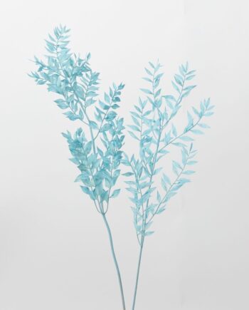 Dried Light-Blue Ruscus - 30" 69740.31