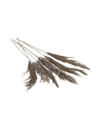 Fluffy Dried Grey Pampas Grass - 25.5" 66661.75