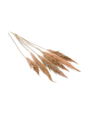 Fluffy Dried Pink Pampas Grass - 25.5" 66661.04