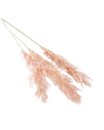 Fluffy Dried Pink Pampas Grass - 47" 66662.04