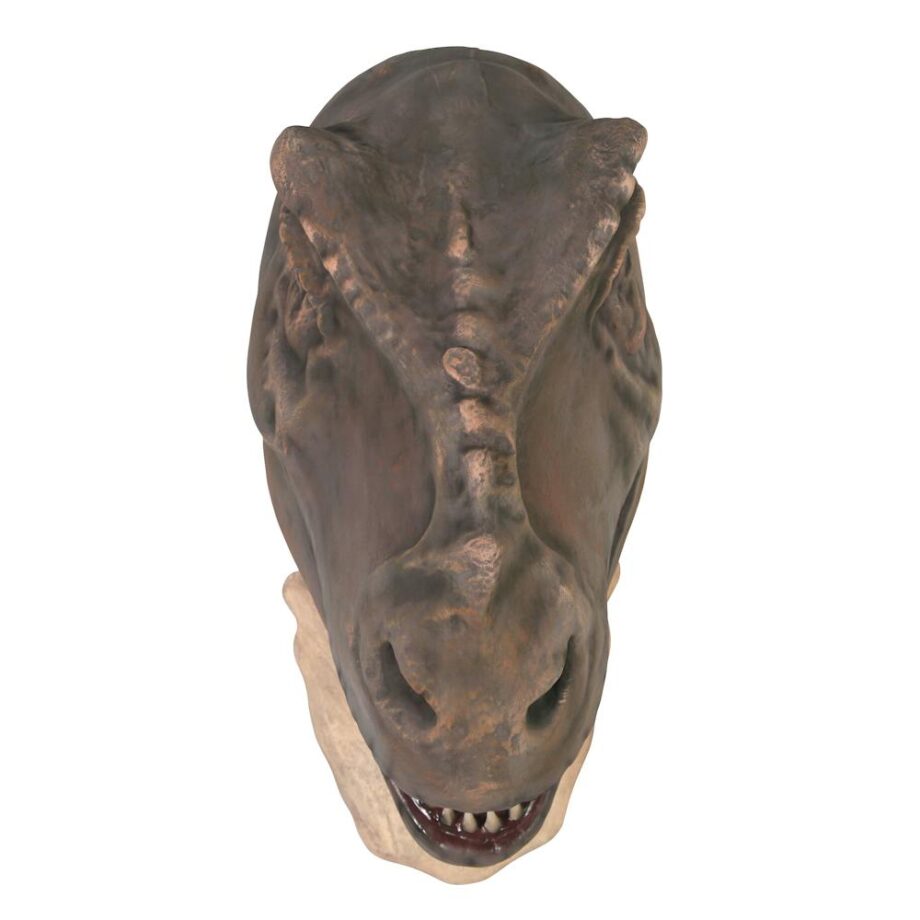 Grand-Scale Tyrannosaurus Rex Dinosaur Wall Trophy