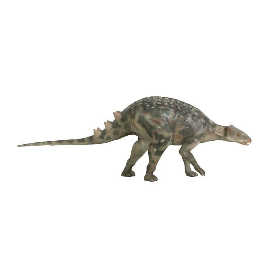 Minmi Ankylosaurs Scaled Dinosaur Statue