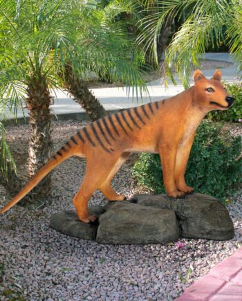 Mysterious Tasmanian Tiger Statue NE100101