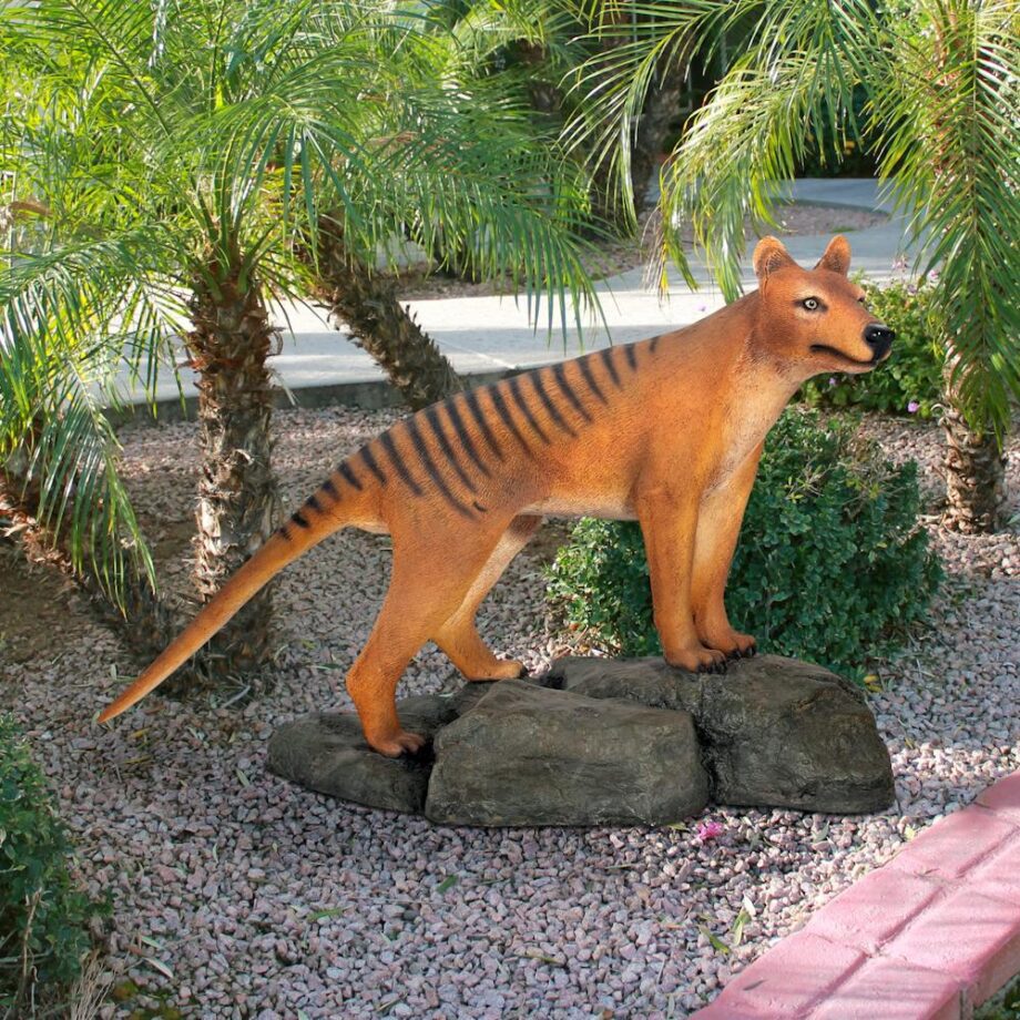 Mysterious Tasmanian Tiger Statue NE100101