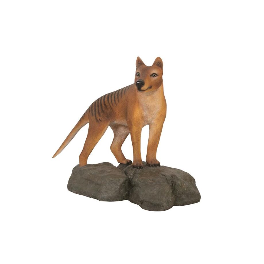 Mysterious Tasmanian Tiger Statue