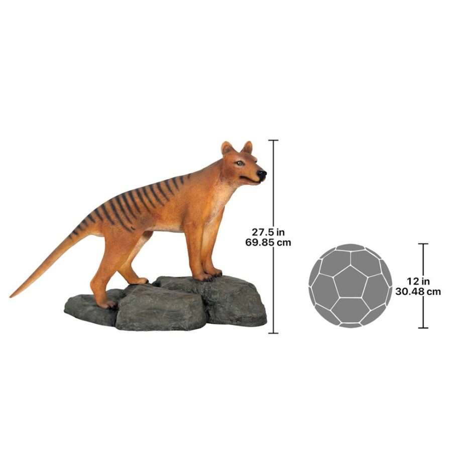 Mysterious Tasmanian Tiger Statue