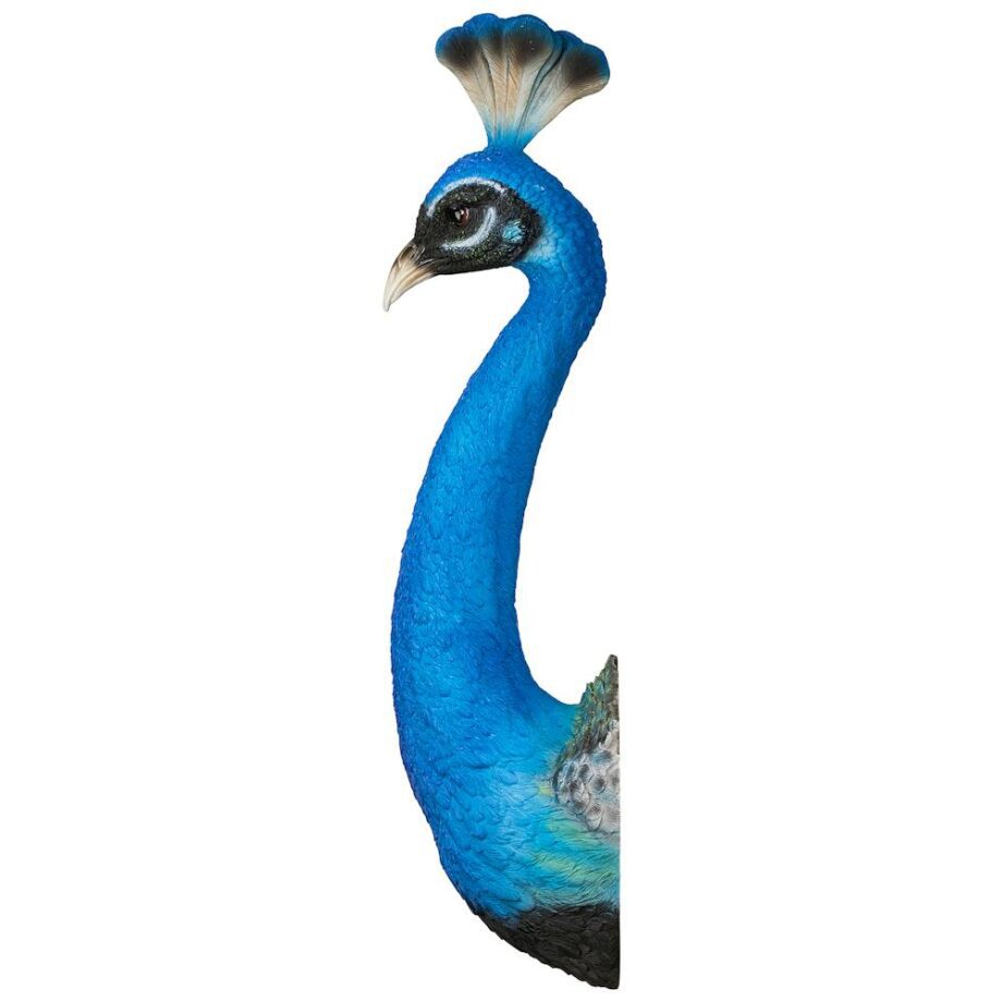 Prized Peacock Trophy Wall Sculpture