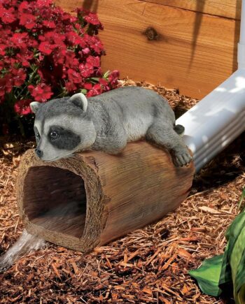 Raider the Raccoon Gutter Guardian Downspout Statue QM13071