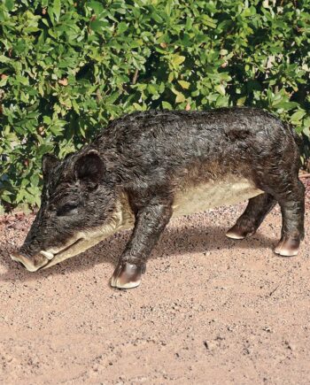 Razorback Wild Boar Statue QM19624