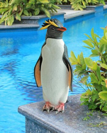 Rock Hopper Penguin Garden Statue QM2490100