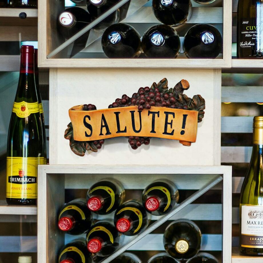 Salute Italian Signs Grape Wall Sculpture AH231116