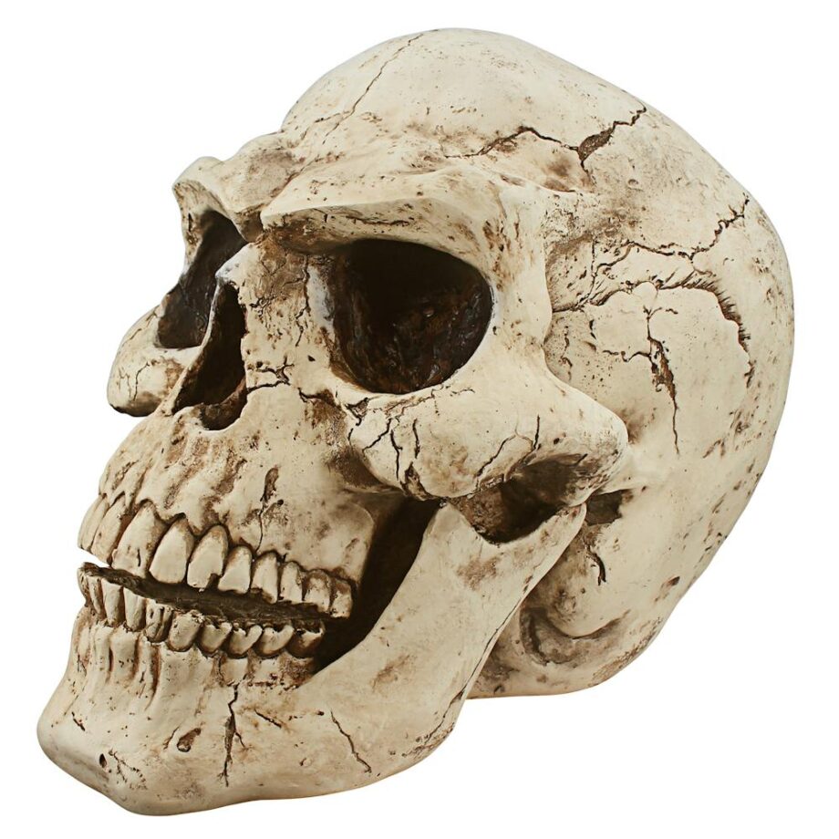 Sinister Simon Giant Skull Statue