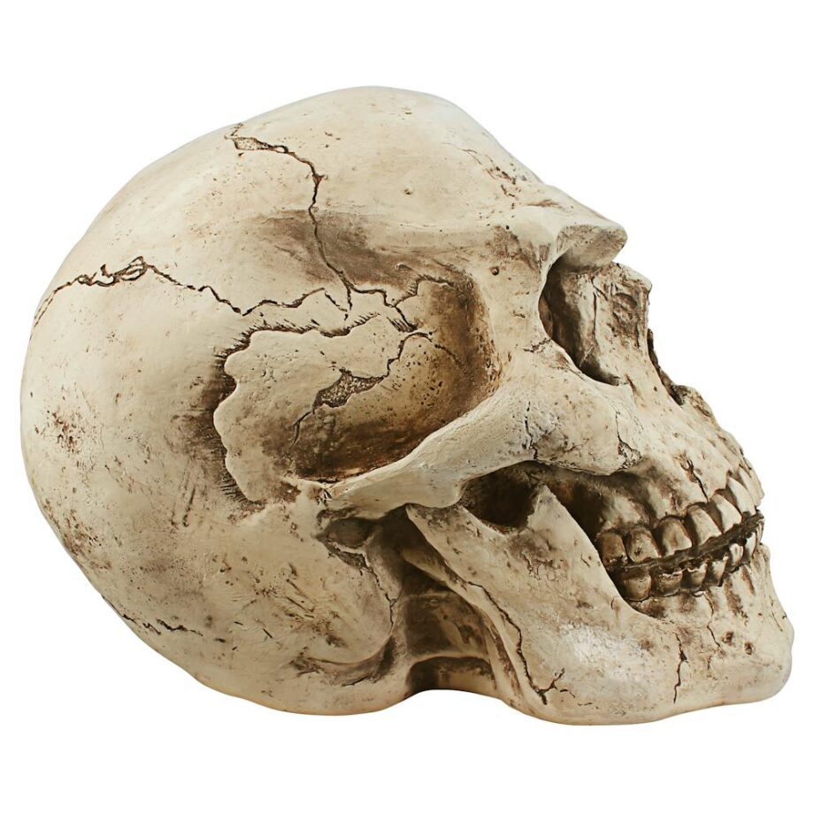 Sinister Simon Giant Skull Statue