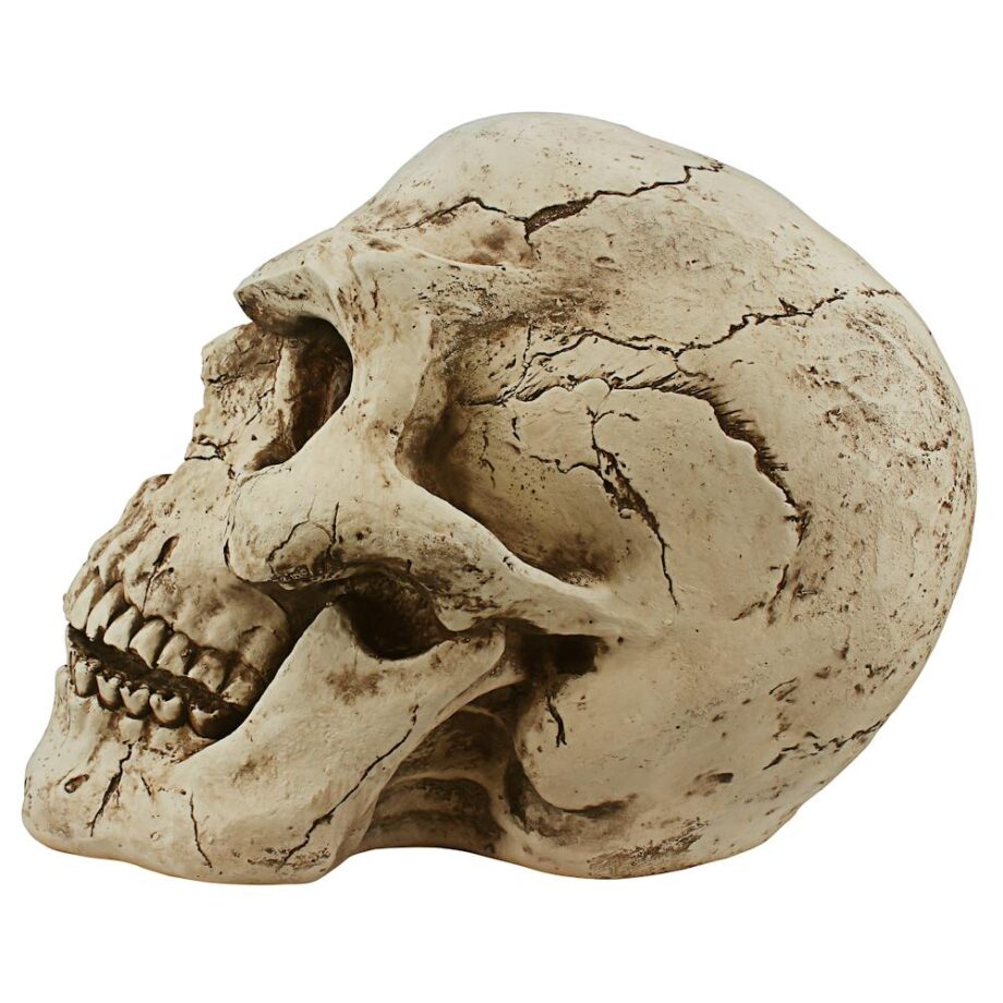Sinister Simon Giant Skull Statue