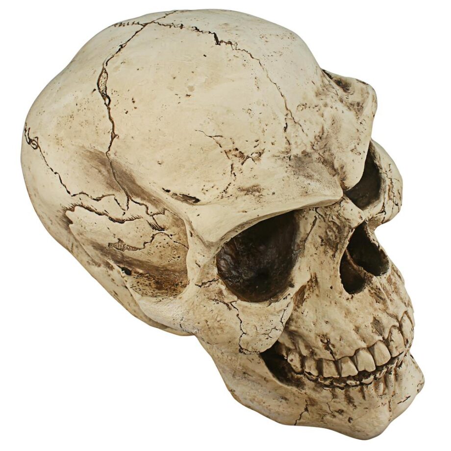 Sinister Simon Giant Skull Statue