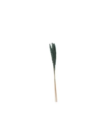 Slim Dried Blue Pampas Grass - 25.5" 66660.30