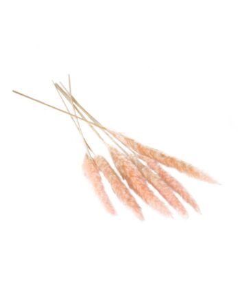 Slim Dried Pink Pampas Grass - 25.5" 66660.04