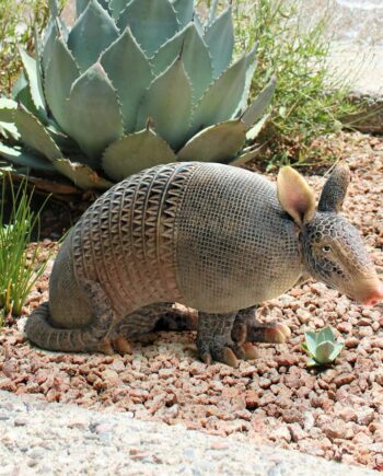 Tank the Armadillo Garden Statue QM2466400