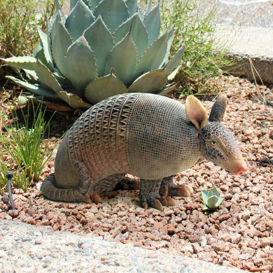 Tank the Armadillo Garden Statue QM2466400