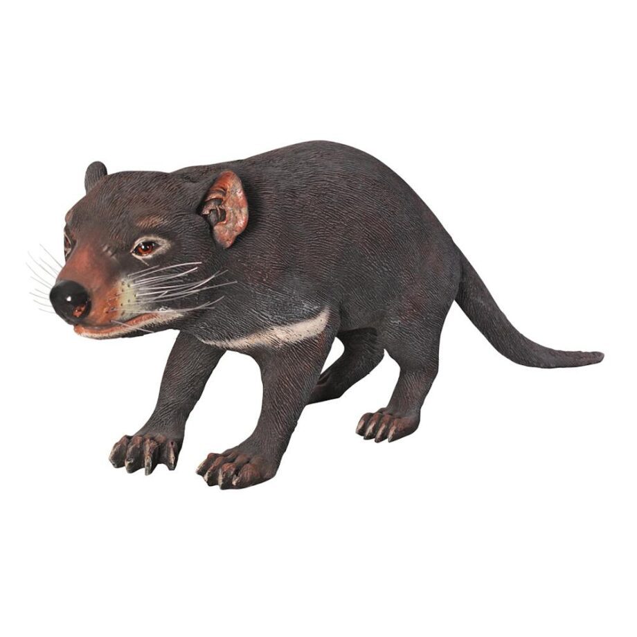 Tasmanian Devil Statue NE100049