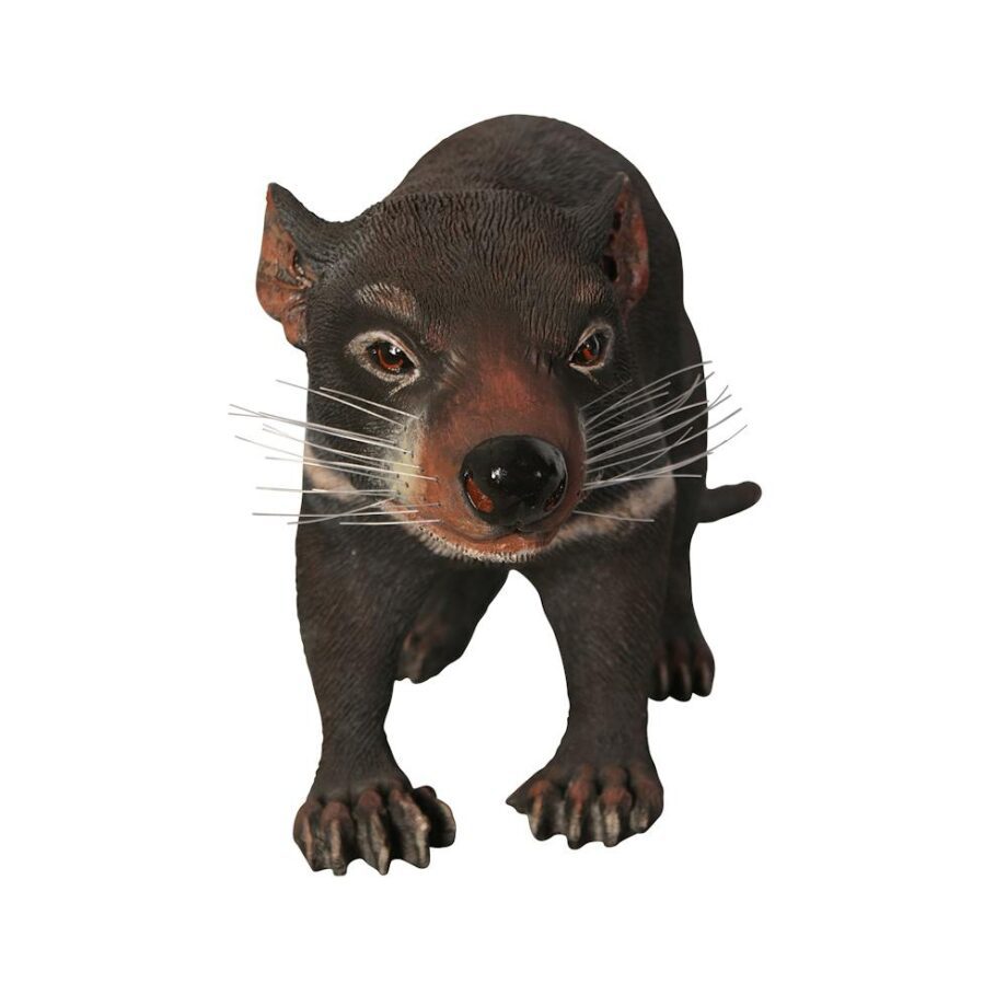 Tasmanian Devil Statue