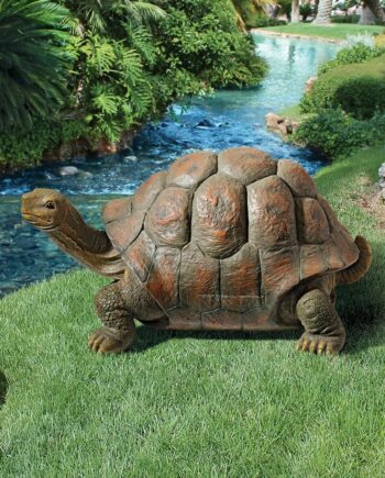 The Cagey Tortoise Garden Turtle Statue QM19644