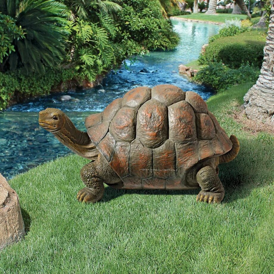 The Cagey Tortoise Garden Turtle Statue QM19644