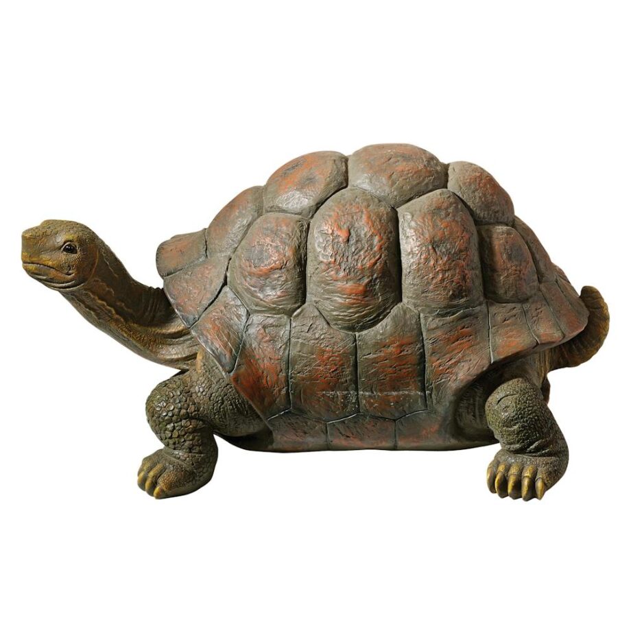 The Cagey Tortoise Garden Turtle Statue