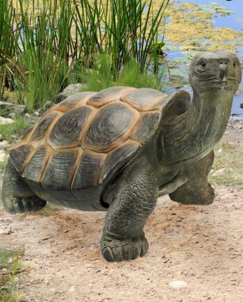 The Curious Turtle Elephant Tortoise Statue QM2734500