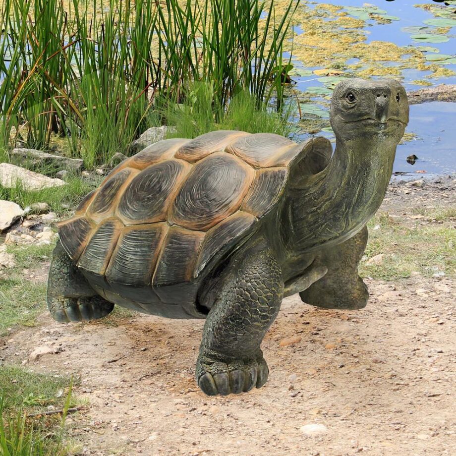 The Curious Turtle Elephant Tortoise Statue QM2734500