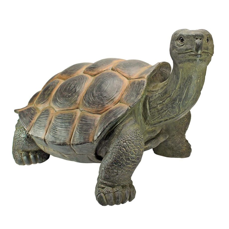 The Curious Turtle Elephant Tortoise Statue