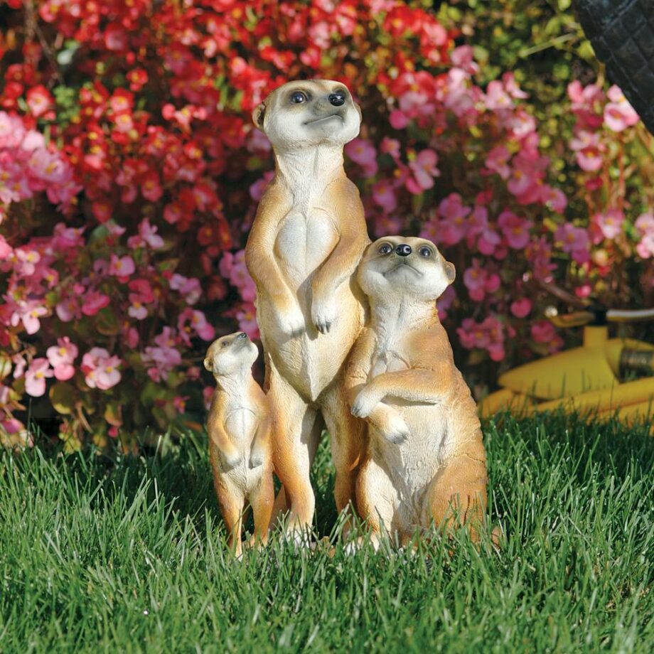 The Meerkat Family Statue QL56971