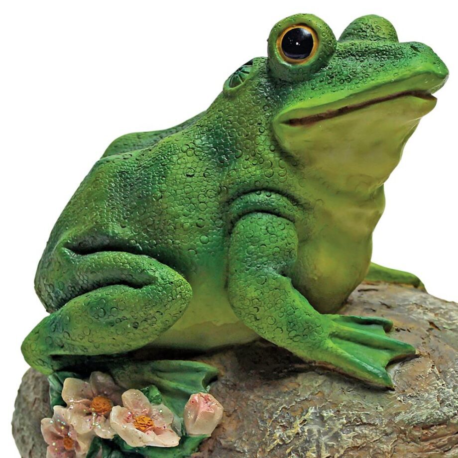 Thurston, the Frog, Garden Rock Sitting Toad Statue