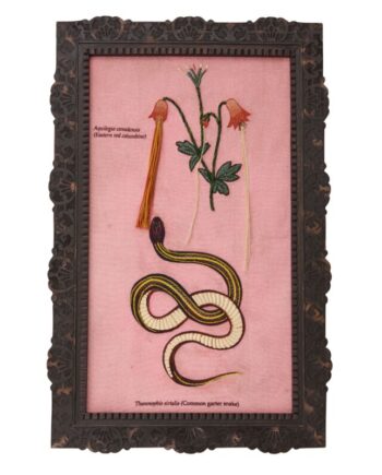 Vipera Wall Art - 15"x 23.75" 61355.00